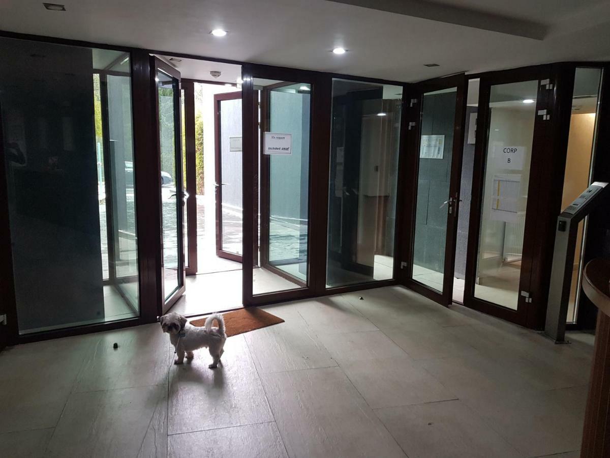 Apartment Poiana Brasov Bagian luar foto